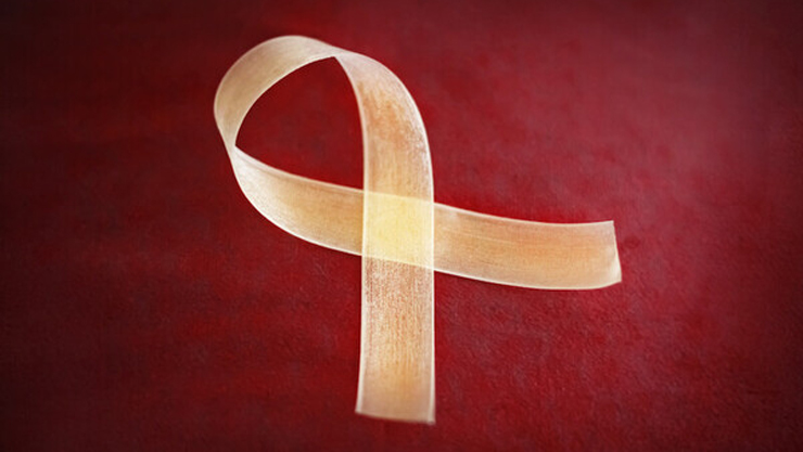 Rooftop記事の第43回が公開されました！